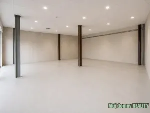 Pronájem obchodního prostoru, Praha - Strašnice, V olšinách, 154 m2