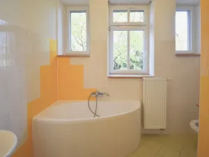 Prodej rodinného domu, Plzeň - Východní Předměstí, náměstí Milady Horákové, 150 m2