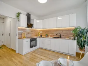 Pronájem bytu 1+1, Ústí nad Labem - Krásné Březno, Rozcestí, 41 m2