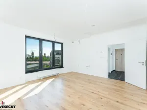 Prodej bytu 1+kk, Plzeň, Železná, 38 m2