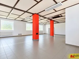 Prodej obchodního prostoru, Boskovice, 247 m2