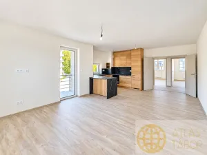 Pronájem bytu 3+kk, Tábor - Čekanice, Janáčkova, 77 m2