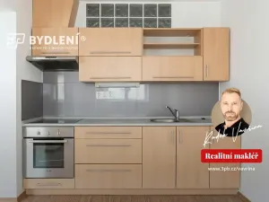 Pronájem bytu 1+1, Děčín, Teplická, 29 m2