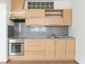Pronájem bytu 1+1, Děčín, Teplická, 29 m2