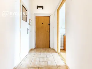 Prodej bytu 2+1, Světec, Kostomlatská, 77 m2