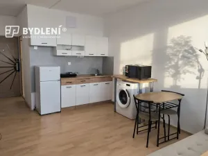 Pronájem bytu 1+kk, Ústí nad Labem, Hoření, 22 m2