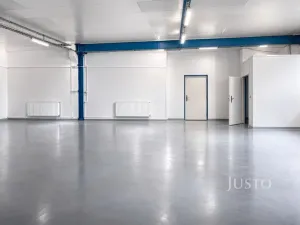 Pronájem výrobních prostor, Všejany, Na Prstýnku, 128 m2