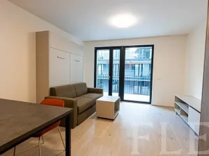 Pronájem bytu 1+kk, Praha - Žižkov, Hartigova, 36 m2