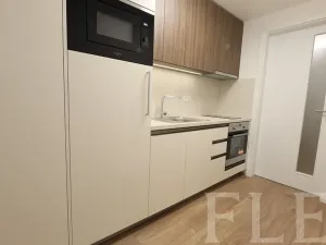 Pronájem bytu 1+kk, Praha - Žižkov, Hartigova, 38 m2