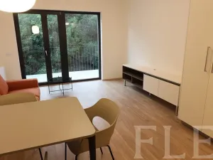 Pronájem bytu 1+kk, Praha - Žižkov, Hartigova, 38 m2