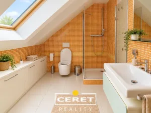 Prodej rodinného domu, Nové Sedlo - Číňov, 500 m2