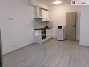 Pronájem bytu 1+kk, Dobrovice, 32 m2