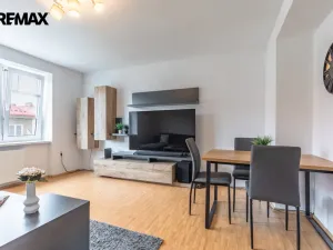 Prodej bytu 3+kk, Litvínov - Horní Litvínov, U Zámeckého parku, 58 m2