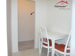 Pronájem bytu 2+kk, Ústí nad Labem - Severní Terasa, Brandtova, 40 m2