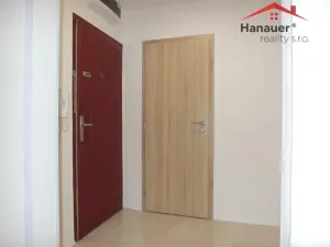 Pronájem bytu 2+kk, Ústí nad Labem - Severní Terasa, Brandtova, 40 m2