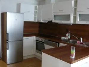 Prodej bytu 2+kk, Brno, Vinohrady, 55 m2