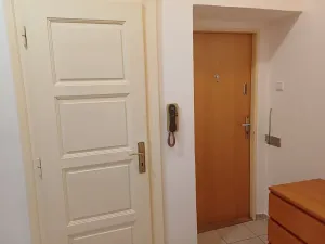 Prodej bytu 1+1, Brno, Kartouzská, 43 m2