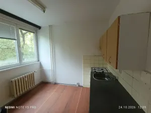 Prodej bytu 1+1, Frýdek-Místek, Anenská, 40 m2