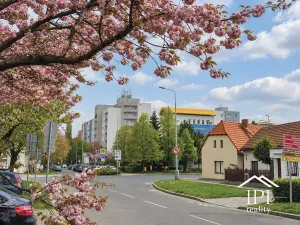 Pronájem bytu 1+kk, Praha - Letňany, Toužimská, 38 m2