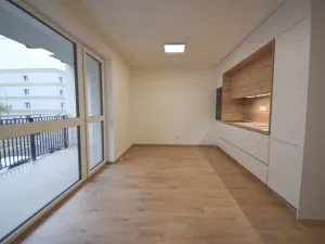 Pronájem bytu 2+kk, Plzeň - Východní Předměstí, Zahradní, 52 m2