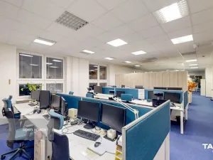 Pronájem kanceláře, Plzeň - Východní Předměstí, Slovanská alej, 481 m2