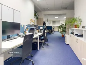 Pronájem kanceláře, Plzeň - Východní Předměstí, Slovanská alej, 481 m2
