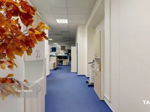 Pronájem kanceláře, Plzeň - Východní Předměstí, Slovanská alej, 481 m2