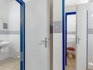 Pronájem kanceláře, Plzeň - Východní Předměstí, Slovanská alej, 481 m2