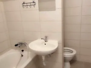 Pronájem bytu 1+1, Hartmanice, 39 m2