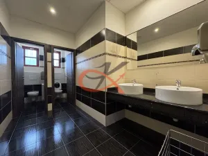 Pronájem obchodního prostoru, Valašské Meziříčí, Mírová, 555 m2