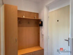 Prodej bytu 2+1, Hodonín, Patočkova, 58 m2