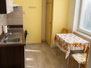 Prodej bytu 2+1, Týnec nad Sázavou, Družstevní, 53 m2