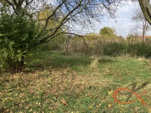 Prodej rodinného domu, Hrubčice - Otonovice, 80 m2