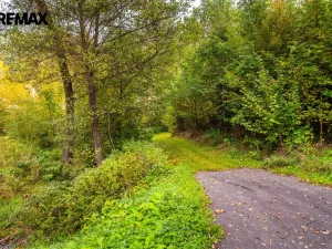 Prodej pozemku pro bydlení, Všemyslice, 4931 m2