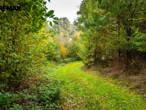 Prodej pozemku pro bydlení, Všemyslice, 4931 m2