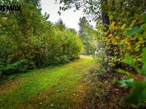 Prodej pozemku pro bydlení, Všemyslice, 4931 m2
