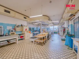 Prodej obchodního prostoru, Přimda, Severní, 30198 m2