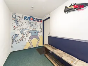 Prodej obchodního prostoru, Cheb, Lesní, 130 m2