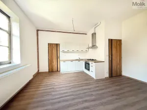 Pronájem bytu 2+kk, Osek, Tovární, 50 m2