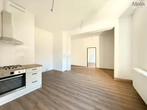 Pronájem bytu 2+kk, Osek, Tovární, 50 m2