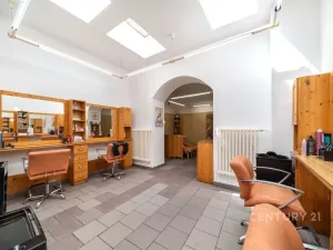 Pronájem obchodního prostoru, Plzeň, Bezručova, 55 m2