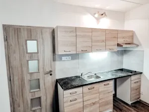 Pronájem bytu 1+kk, Most, U Věžových domů, 21 m2