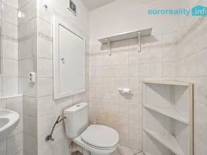 Prodej bytu 2+1, Milovice, Braniborská, 48 m2