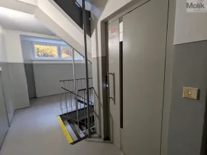 Pronájem bytu 4+1, Litvínov - Janov, Luční, 85 m2