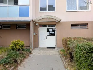 Pronájem bytu 4+1, Litvínov - Janov, Luční, 85 m2