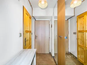 Prodej bytu 1+1, Plzeň, Partyzánská, 30 m2