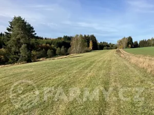 Prodej pole, Nížkov, 325979 m2