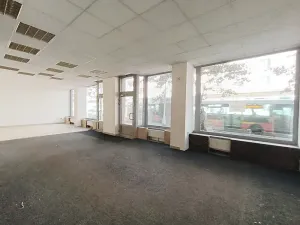 Pronájem obchodního prostoru, Hradec Králové, Gočárova třída, 170 m2