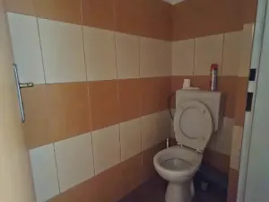 Pronájem obchodního prostoru, Hradec Králové, Gočárova třída, 170 m2