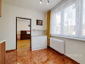 Prodej bytu 2+1, Aš, Hlavní, 59 m2